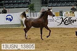 13usn_13805 proof