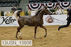 13usn_13806 proof