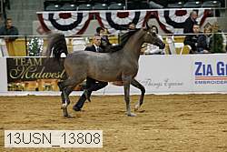 13usn_13808 proof
