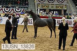 13usn_13826 proof