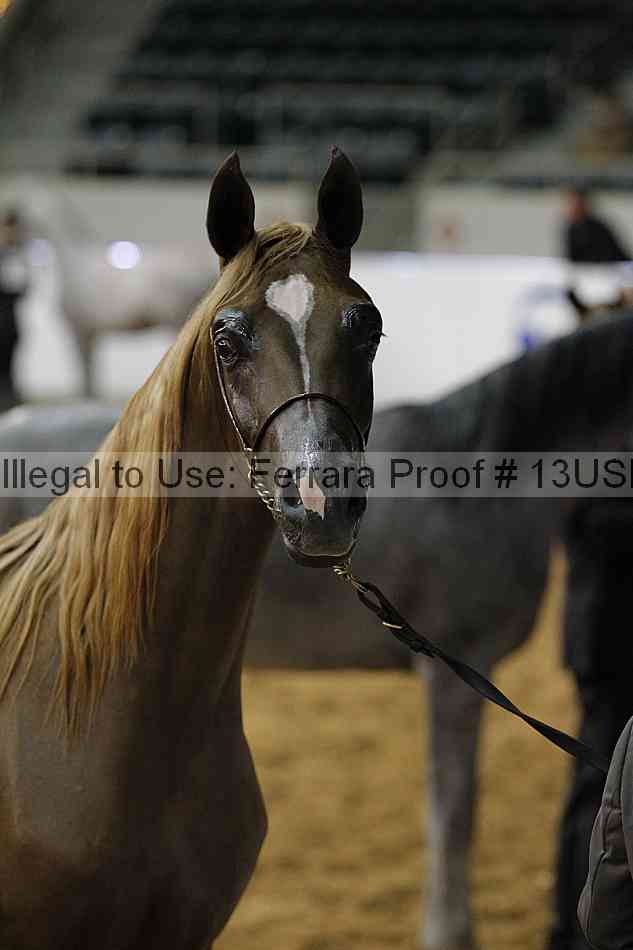 Proof 13usn_13844