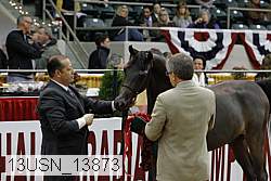 13usn_13873 proof