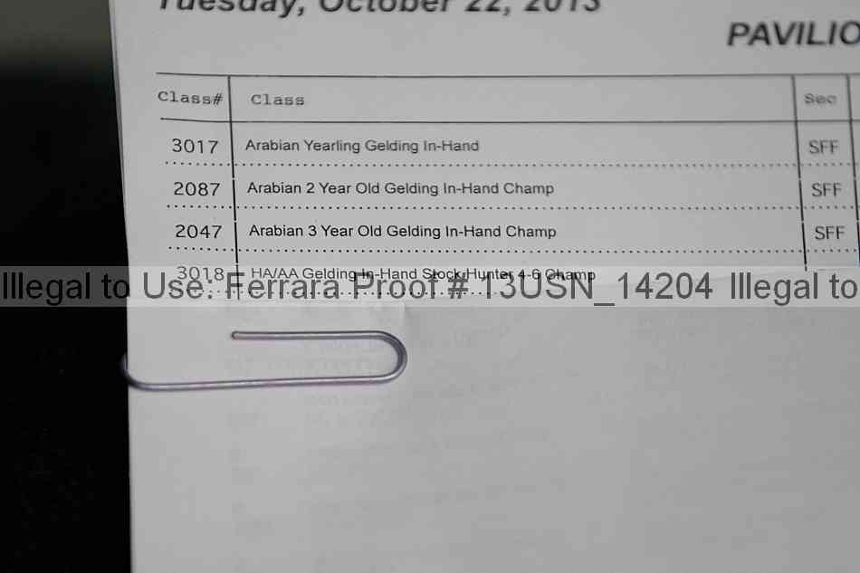 Proof 13usn_14204