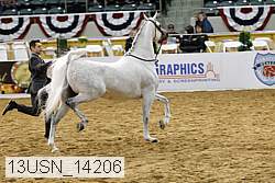 13usn_14206 proof