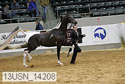 13usn_14208 proof