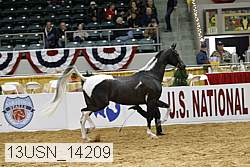 13usn_14209 proof