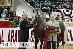13usn_14242 proof
