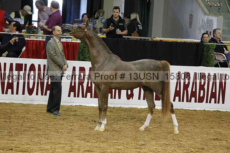 Proof 13usn_15808
