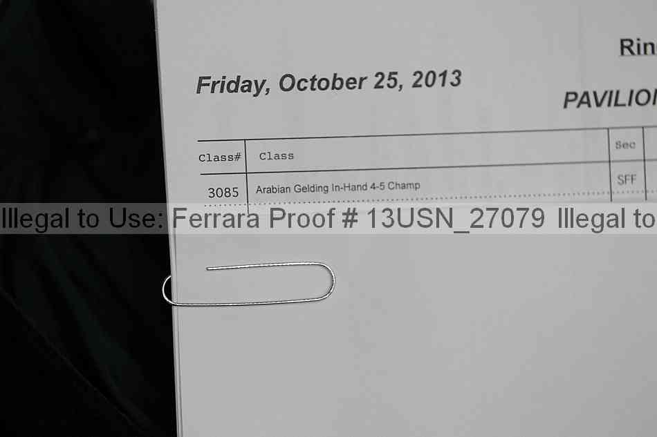 Proof 13usn_27079
