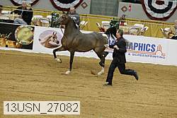 13usn_27082 proof