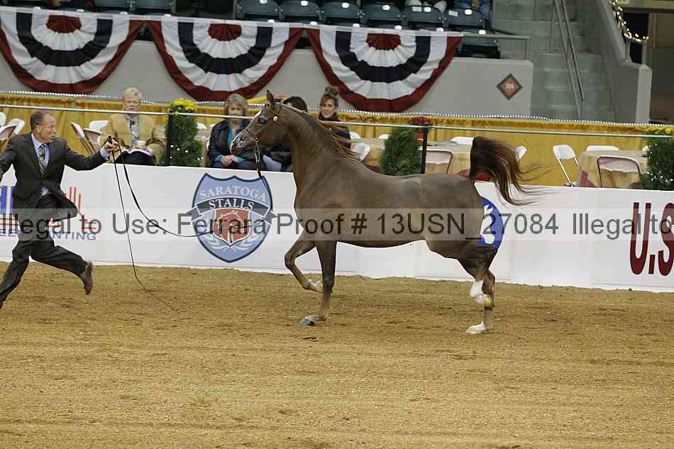Proof 13usn_27084