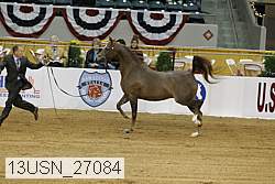 13usn_27084 proof