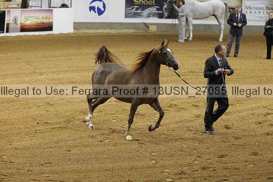 Proof 13usn_27085