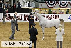 13usn_27088 proof