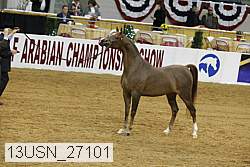 13usn_27101 proof