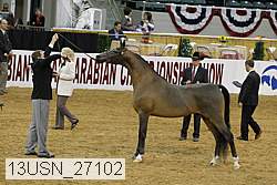 13usn_27102 proof