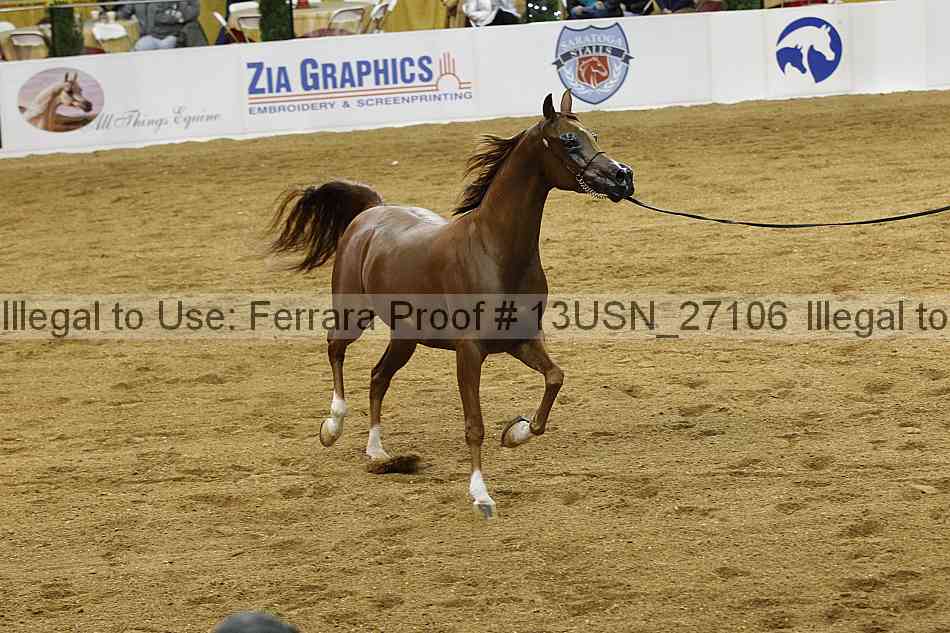 Proof 13usn_27106