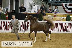 13usn_27109 proof