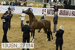 13usn_27114 proof