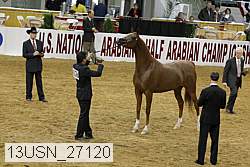13usn_27120 proof