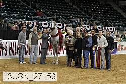 13usn_27153 proof