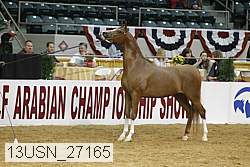 13usn_27165 proof
