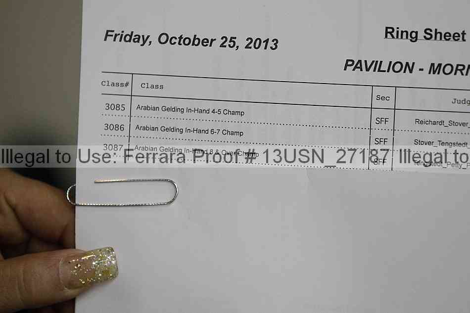 Proof 13usn_27187