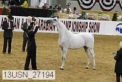 13usn_27194 proof