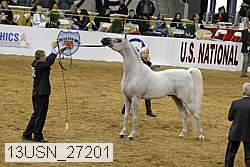 13usn_27201 proof