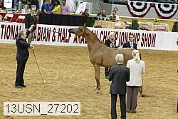 13usn_27202 proof