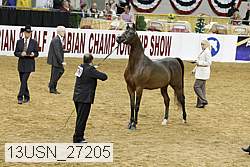 13usn_27205 proof