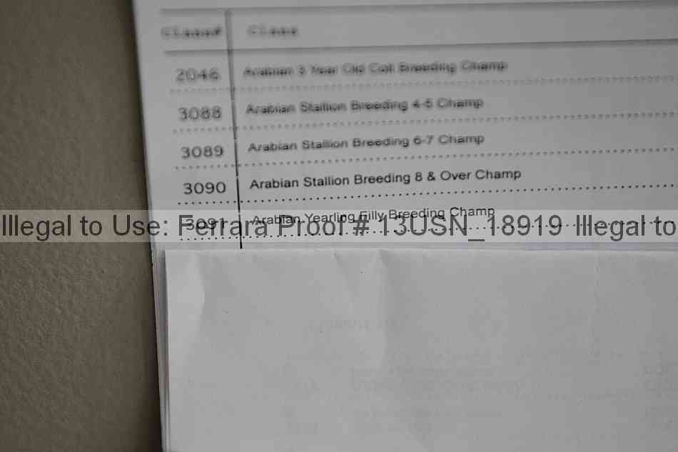 Proof 13usn_18919