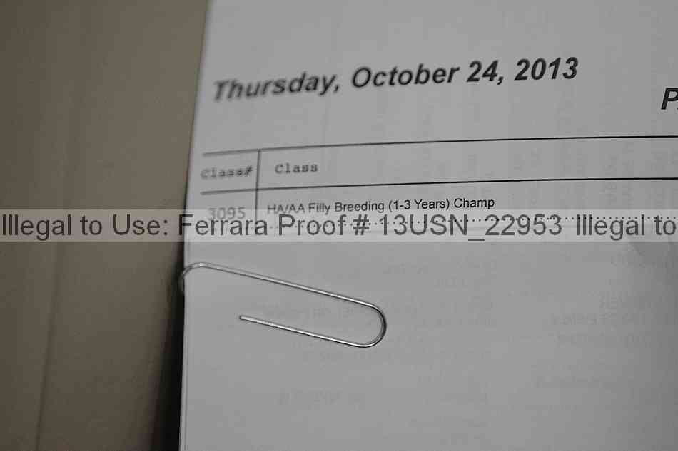Proof 13usn_22953