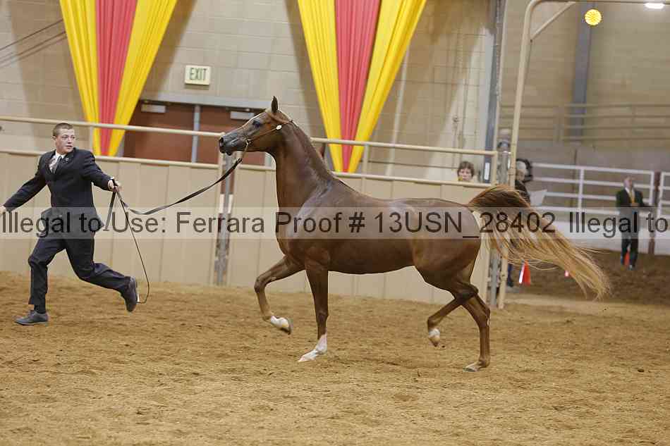Proof 13usn_28402