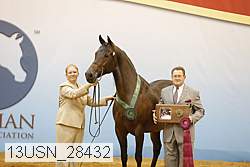 13usn_28432 proof