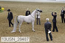 13usn_28487 proof