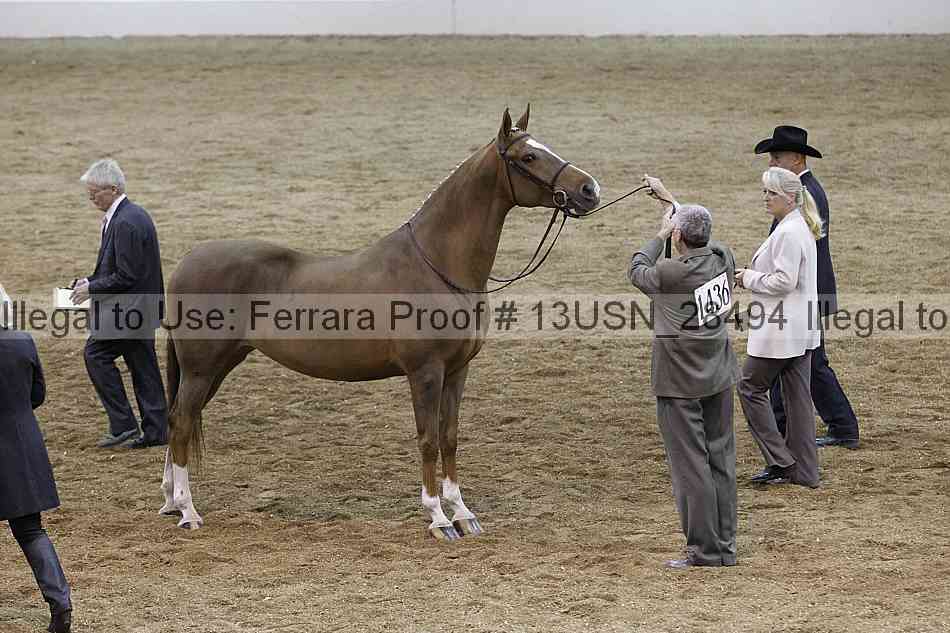 Proof 13usn_28494