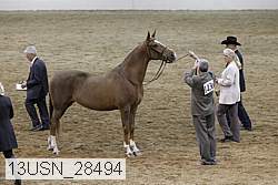 13usn_28494 proof