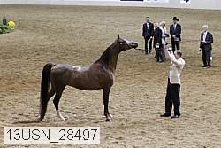 13usn_28497 proof