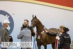 13usn_28551 proof