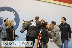 13usn_28559 proof