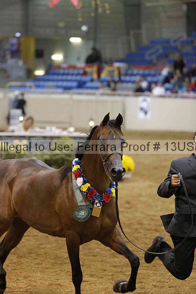 Proof 13usn_28583