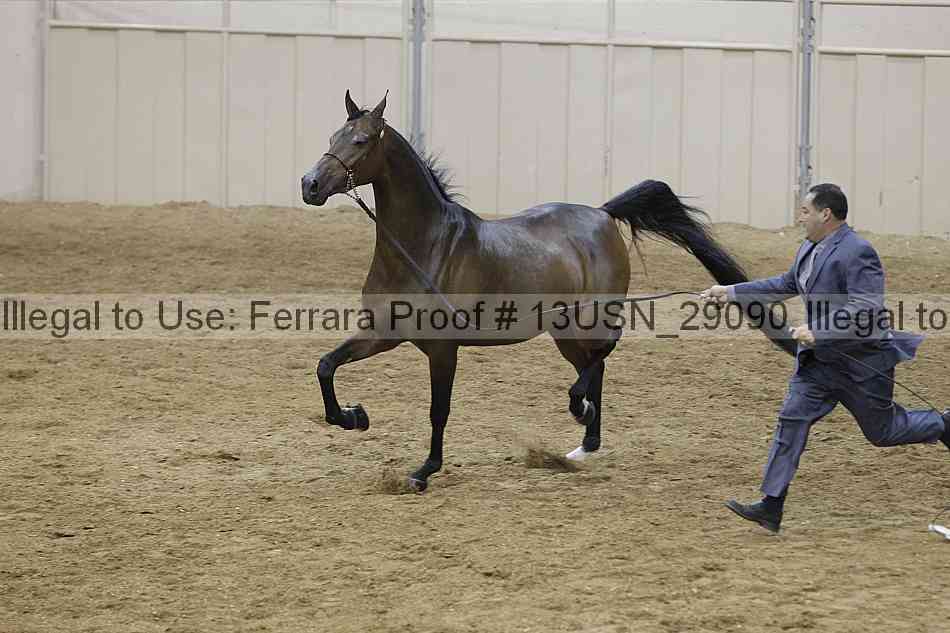 Proof 13usn_29090