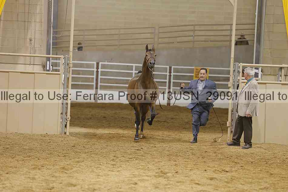 Proof 13usn_29091