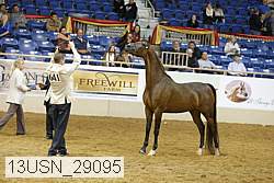 13usn_29095 proof