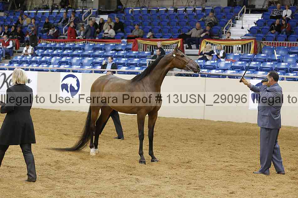 Proof 13usn_29096