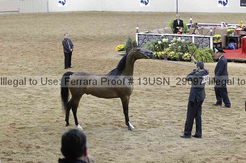 Proof 13usn_29097