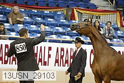 13usn_29103 proof