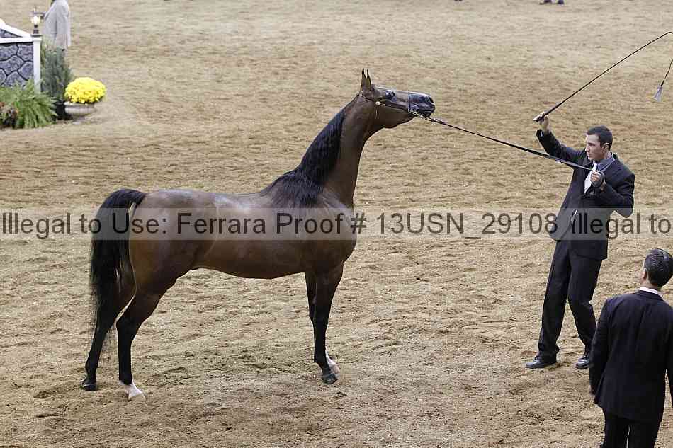 Proof 13usn_29108