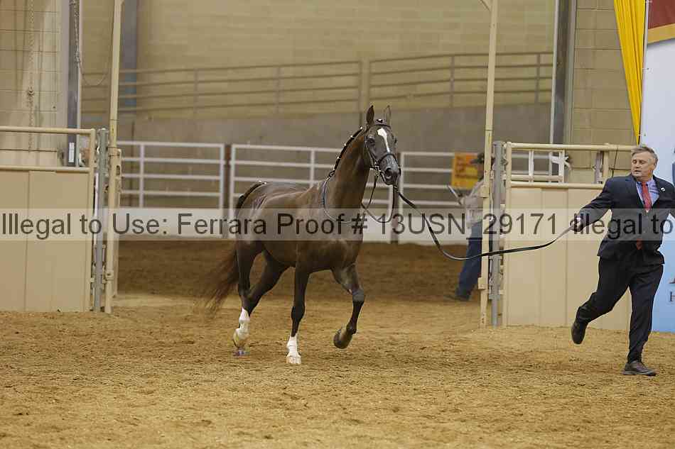 Proof 13usn_29171
